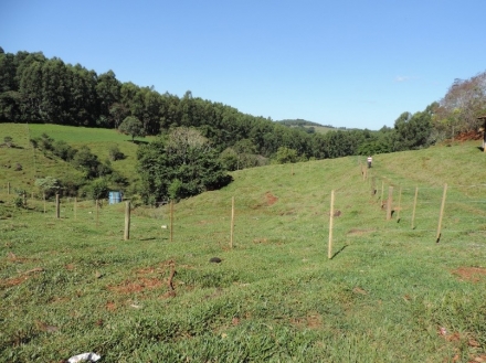 Consrcio Iber -